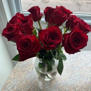 Meet your Posher, Louisa